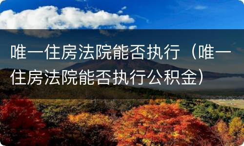唯一住房法院能否执行（唯一住房法院能否执行公积金）