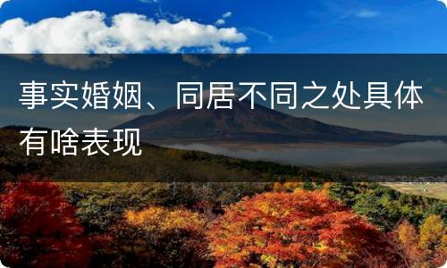 事实婚姻、同居不同之处具体有啥表现