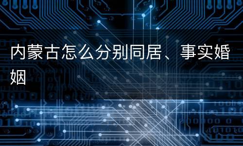 内蒙古怎么分别同居、事实婚姻
