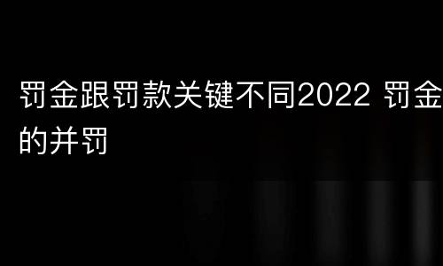罚金跟罚款关键不同2022 罚金的并罚
