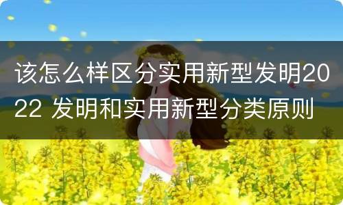 该怎么样区分实用新型发明2022 发明和实用新型分类原则