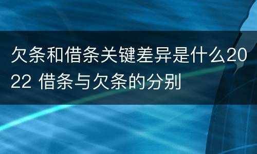 欠条和借条关键差异是什么2022 借条与欠条的分别