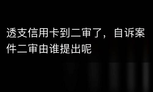 透支信用卡到二审了,自诉案件二审由谁提出呢