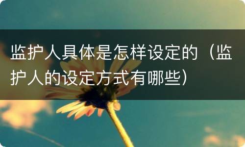 监护人具体是怎样设定的（监护人的设定方式有哪些）