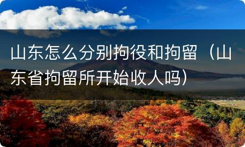 山东怎么分别拘役和拘留（山东省拘留所开始收人吗）