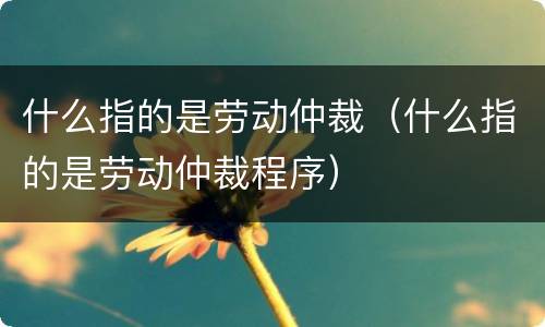 什么指的是劳动仲裁（什么指的是劳动仲裁程序）