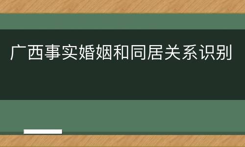 广西事实婚姻和同居关系识别