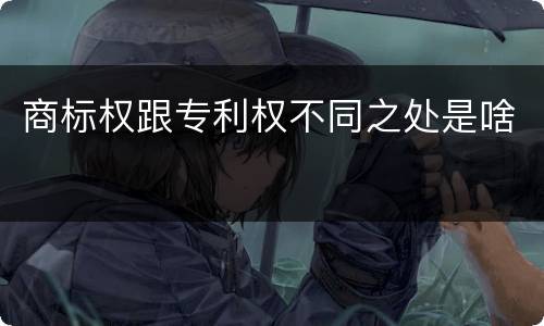 商标权跟专利权不同之处是啥
