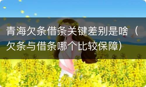 青海欠条借条关键差别是啥（欠条与借条哪个比较保障）
