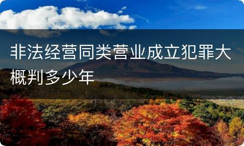 非法经营同类营业成立犯罪大概判多少年