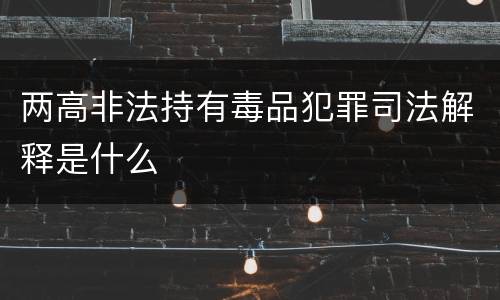两高非法持有毒品犯罪司法解释是什么