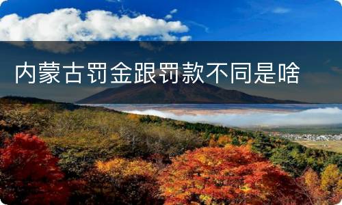 内蒙古罚金跟罚款不同是啥