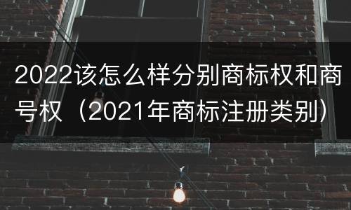 2022该怎么样分别商标权和商号权（2021年商标注册类别）