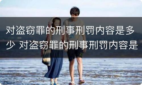 对盗窃罪的刑事刑罚内容是多少 对盗窃罪的刑事刑罚内容是多少种