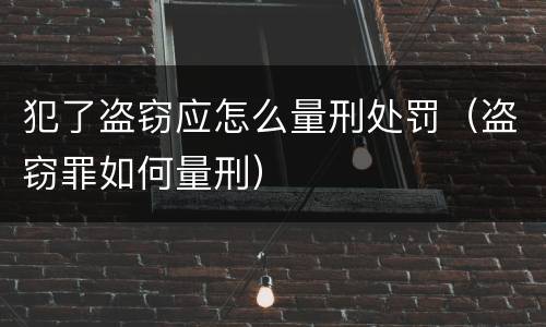 犯了盗窃应怎么量刑处罚（盗窃罪如何量刑）