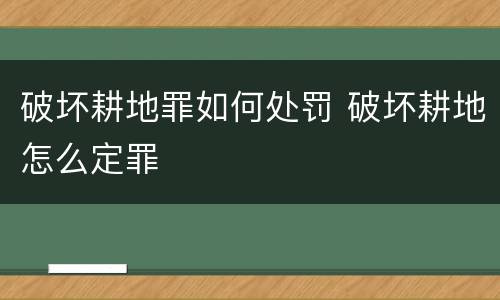 破坏耕地罪如何处罚 破坏耕地怎么定罪