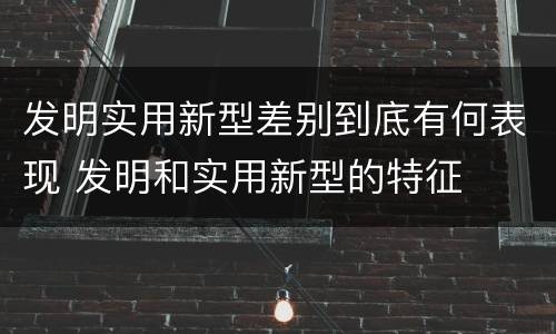 发明实用新型差别到底有何表现 发明和实用新型的特征