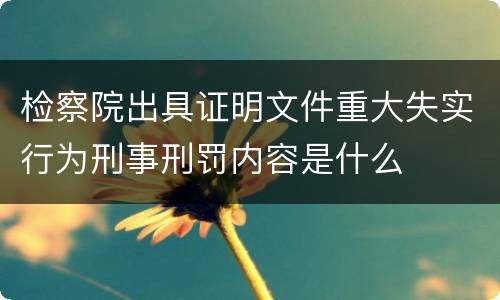 检察院出具证明文件重大失实行为刑事刑罚内容是什么