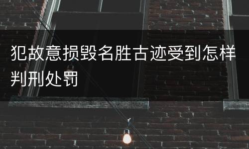 犯故意损毁名胜古迹受到怎样判刑处罚