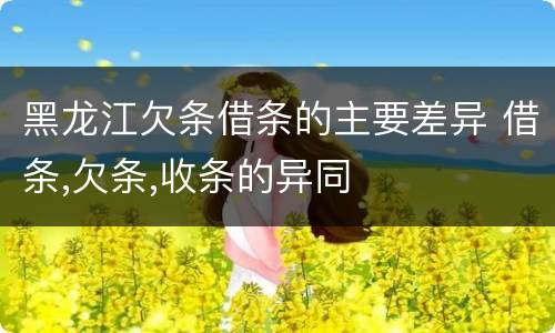 黑龙江欠条借条的主要差异 借条,欠条,收条的异同