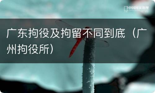 广东拘役及拘留不同到底（广州拘役所）