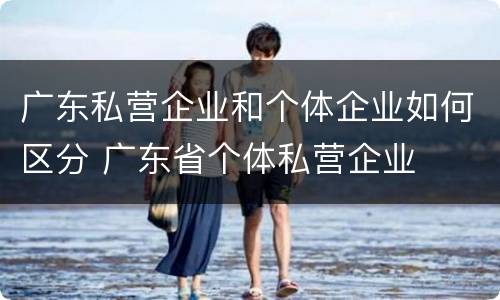 广东私营企业和个体企业如何区分 广东省个体私营企业