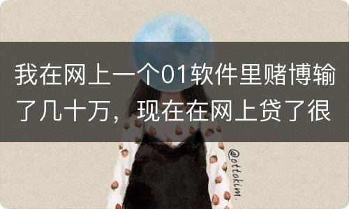 我在网上一个01软件里赌博输了几十万，现在在网上贷了很多网贷，还不起了，怎么办