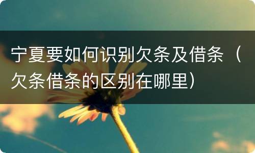 宁夏要如何识别欠条及借条（欠条借条的区别在哪里）
