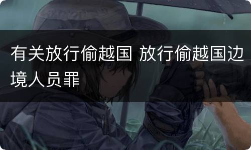 有关放行偷越国 放行偷越国边境人员罪