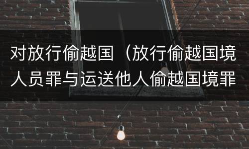 对放行偷越国（放行偷越国境人员罪与运送他人偷越国境罪共犯）