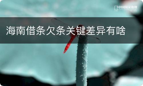 海南借条欠条关键差异有啥