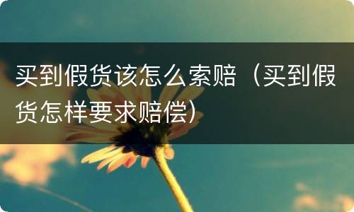 买到假货该怎么索赔（买到假货怎样要求赔偿）