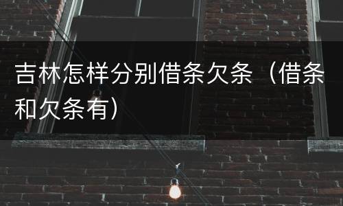 吉林怎样分别借条欠条（借条和欠条有）