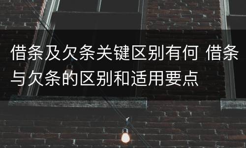 借条及欠条关键区别有何 借条与欠条的区别和适用要点