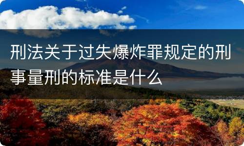 刑法关于过失爆炸罪规定的刑事量刑的标准是什么