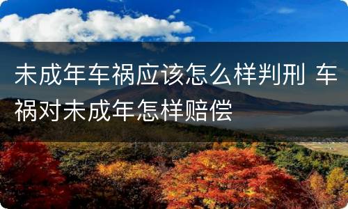 未成年车祸应该怎么样判刑 车祸对未成年怎样赔偿