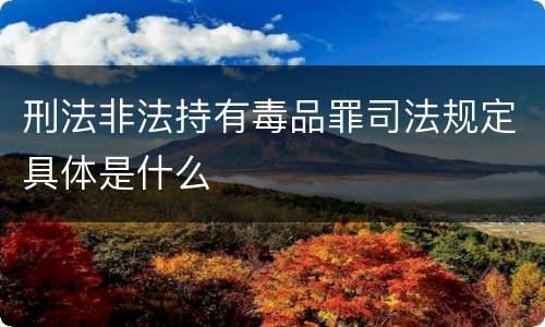 刑法非法持有毒品罪司法规定具体是什么