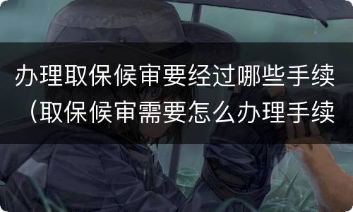 办理取保候审要经过哪些手续（取保候审需要怎么办理手续）