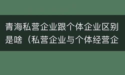 青海私营企业跟个体企业区别是啥（私营企业与个体经营企业的区别）