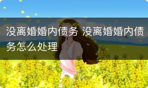 没离婚婚内债务 没离婚婚内债务怎么处理