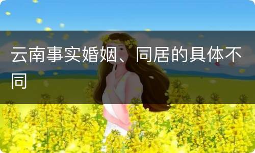 云南事实婚姻、同居的具体不同