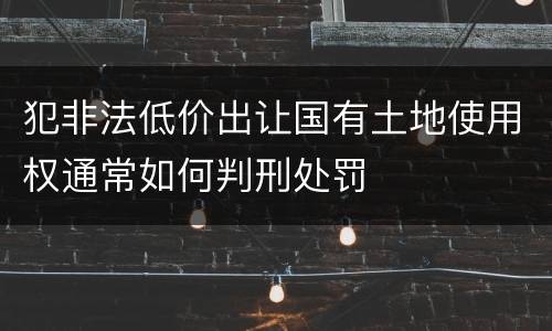 犯非法低价出让国有土地使用权通常如何判刑处罚
