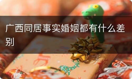 广西同居事实婚姻都有什么差别