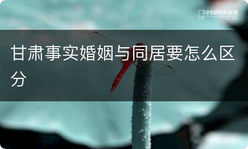 甘肃事实婚姻与同居要怎么区分