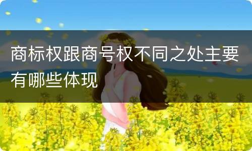 商标权跟商号权不同之处主要有哪些体现