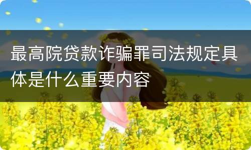 最高院贷款诈骗罪司法规定具体是什么重要内容