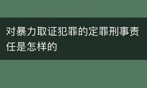 对暴力取证犯罪的定罪刑事责任是怎样的