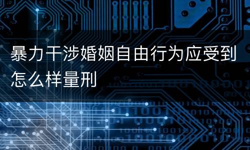 暴力干涉婚姻自由行为应受到怎么样量刑