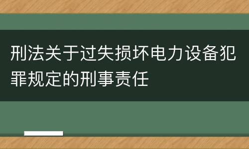 刑法关于过失损坏电力设备犯罪规定的刑事责任