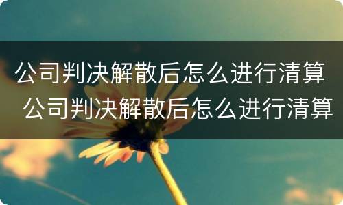 公司判决解散后怎么进行清算 公司判决解散后怎么进行清算处理